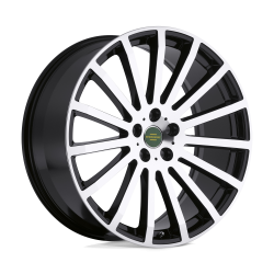 DOMINUS (GBWM)